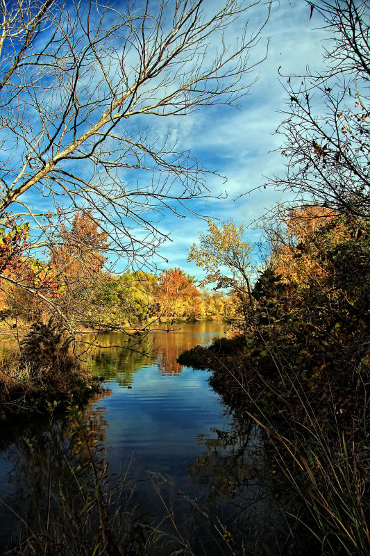 LOOKING TOWARDS THE RIVER