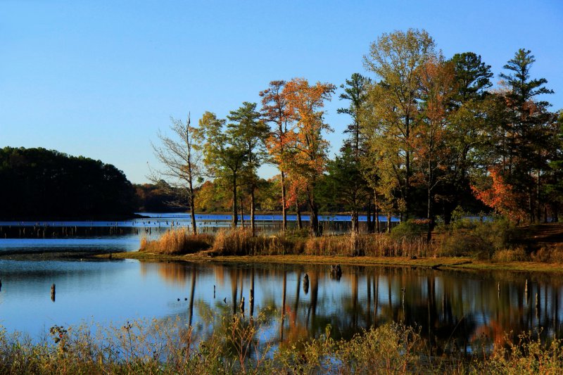 LATE AFTERNOON AT THE LAKE