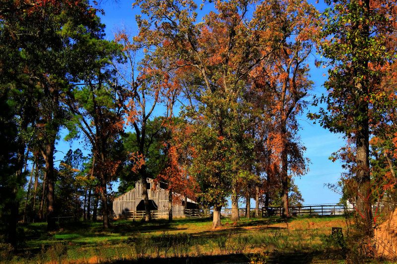 BARN