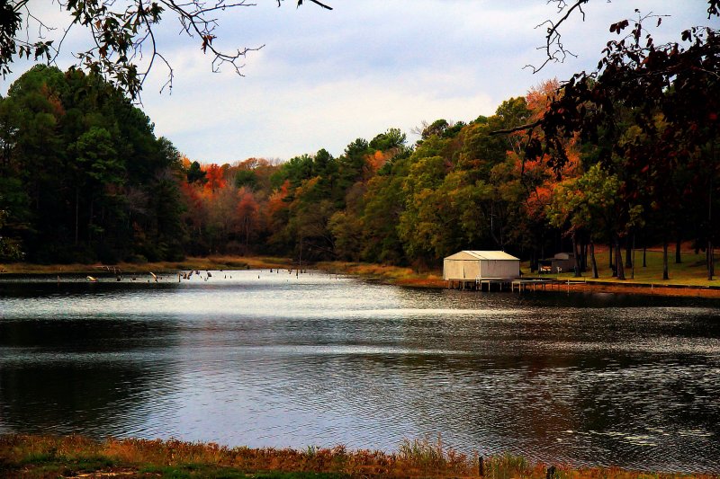 BOAT HOUSE IN A COVE