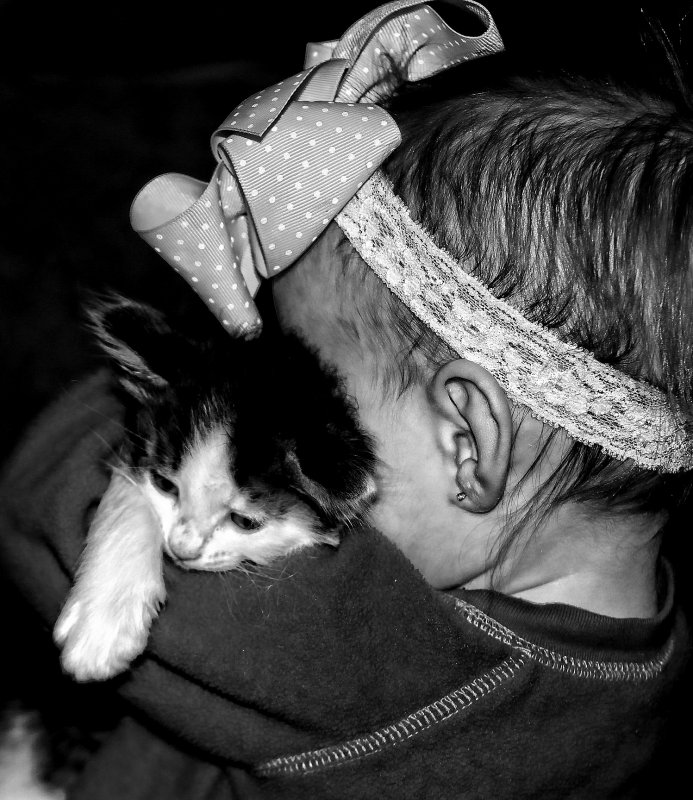 MADDIE LOVES KITTIES