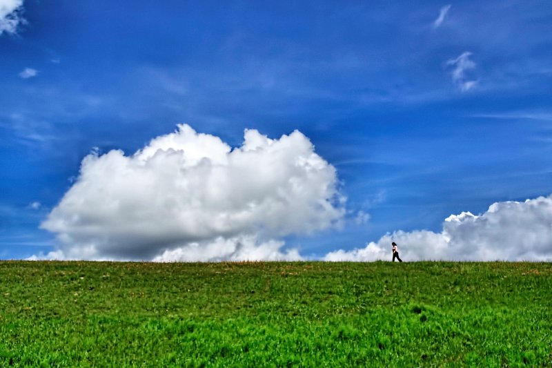 WIDE OPEN SPACES