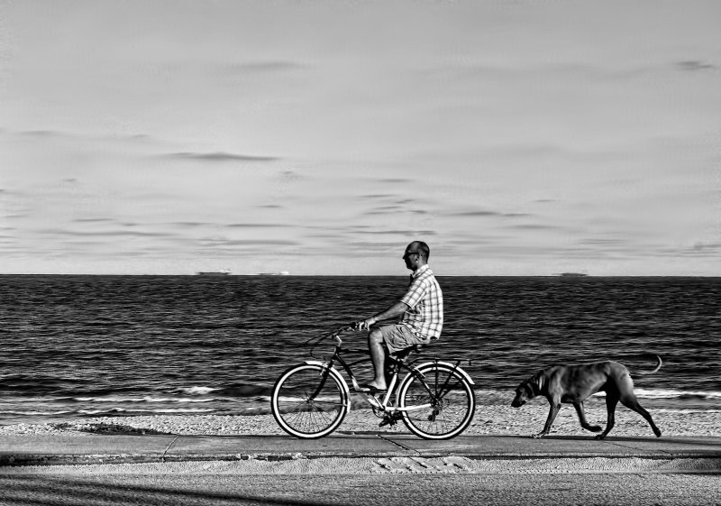 ON THE SEAWALL