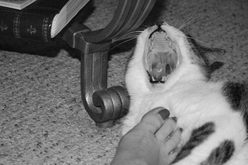 YAWN!