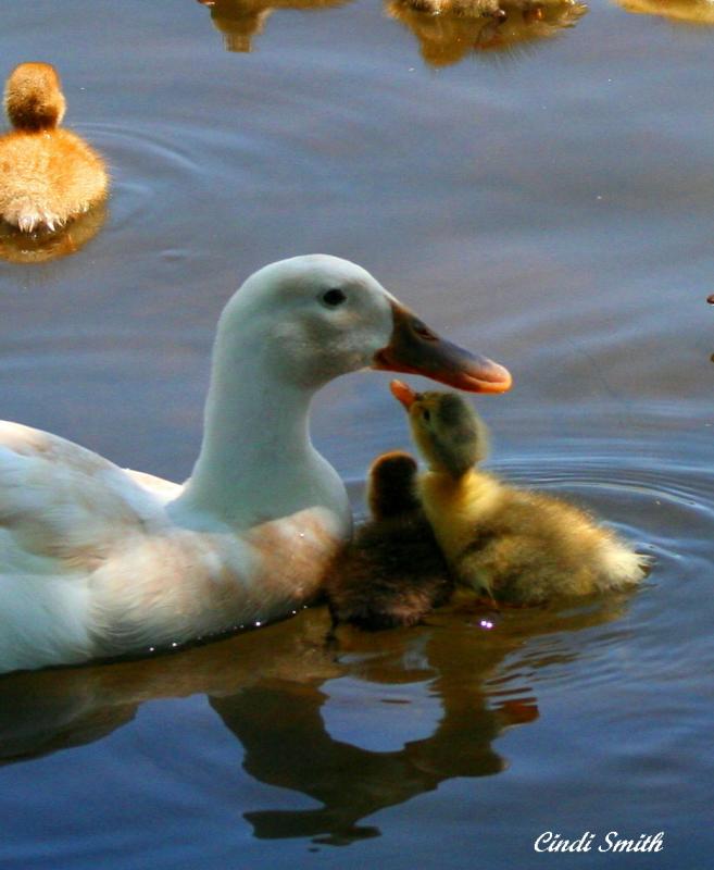 HEY MOM!!!