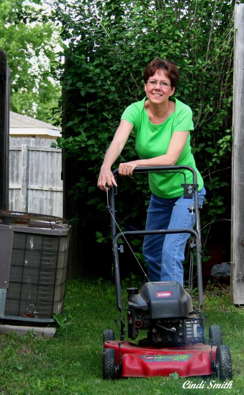 GETTING THE LAWN MOWER STARTED
