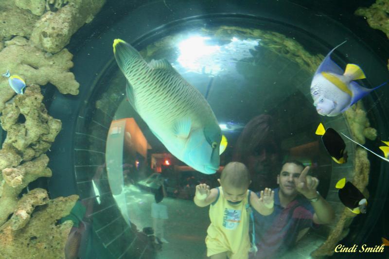 BABY IN THE BUBBLE
