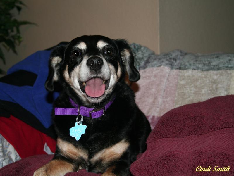 HEY MOM!  IM ON YOUR CLEAN LAUNDRY!