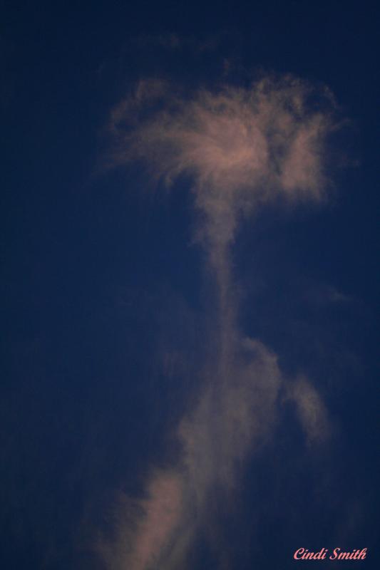 FLOWER CLOUD