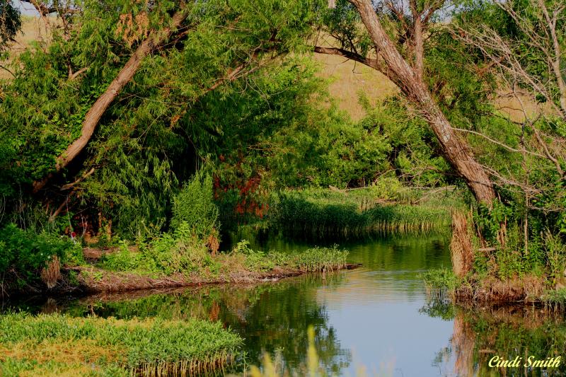 MARINE CREEK LAKE COVE