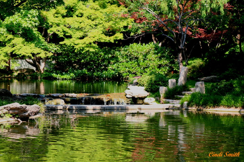 GARDEN POND