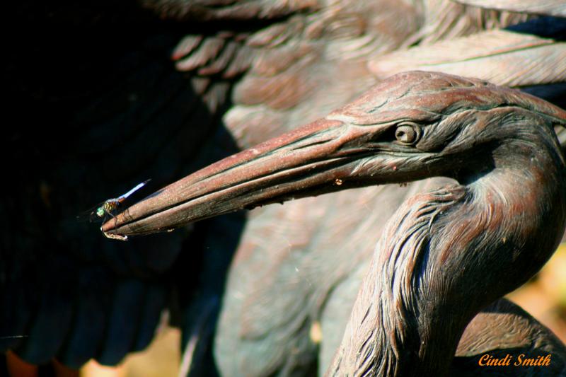WHAT IS THAT ON MY BEAK???