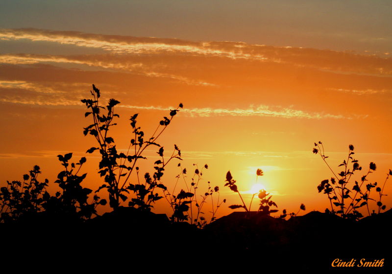 SUNSET SATURDAY NIGHT
