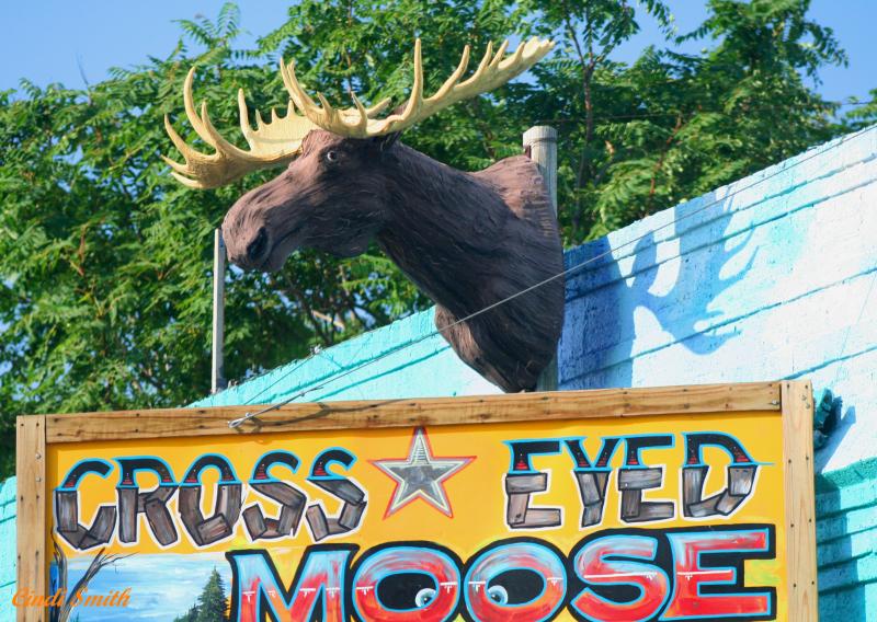 THE CROSS EYED MOOSE