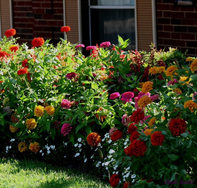 FLOWERBED