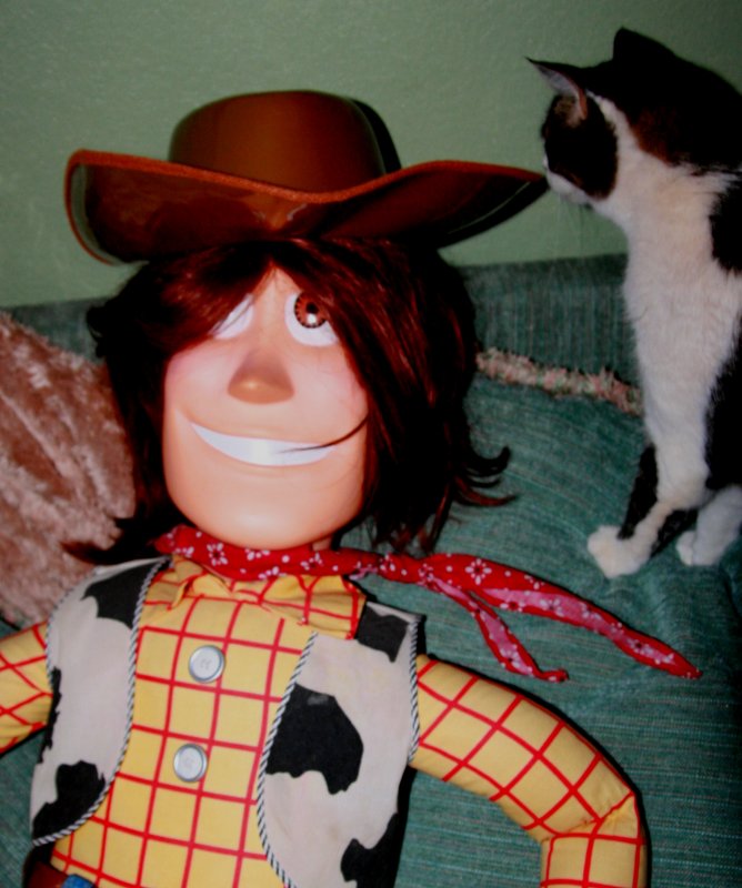 MAYBE THE CAT WONT RECOGNIZE ME IN THIS DISGUISE