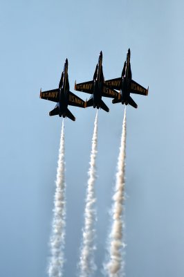 SCAVENGER HUNT - FLIGHT
