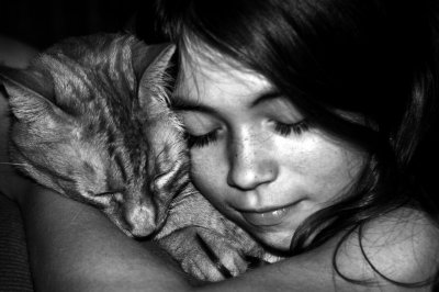AWARENESS AND HOLIDAYS - HUG A CAT DAY