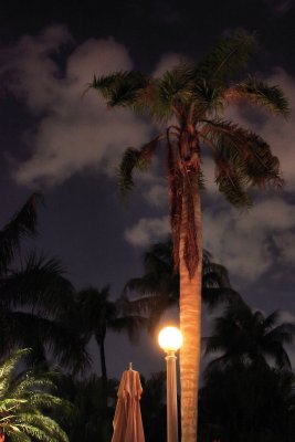 Weather - Miami Weather at Night