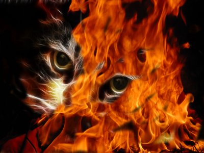HOT - IT'S SO HOT HERE MY CAT JUST BURST INTO FLAMES!!