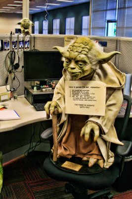 YODA IS READY TO WORK