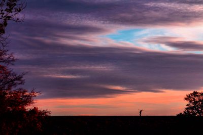 AUTUMN SKY AT DUSK