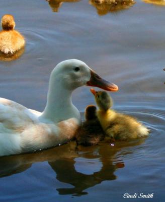 HEY MOM!!!