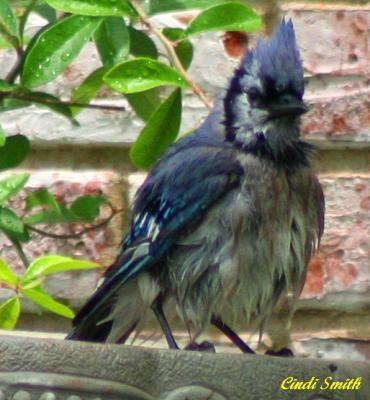 I JUST TOOK A BATH....GO AWAY UNTIL I CAN GET MYSELF TOGETHER