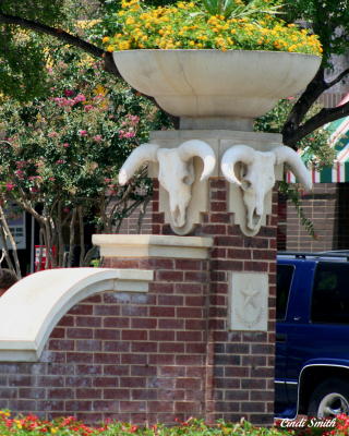 COW SKULLS ON THE ENTRY OF THE SHOPPING MALL
