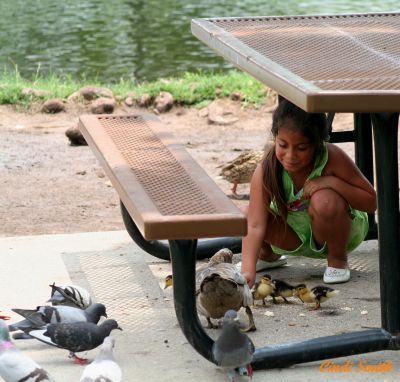 PETTING THE BABY DUCKS