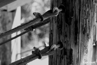 THE LAST SHOT BUT IN B&W
