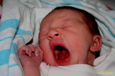 BIG YAWN FOR SUCH A LITTLE ONE!