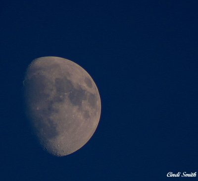 FRIDAY EVENING MOON, AUGUST 4, 2006