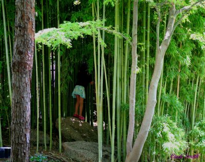 HIDING IN THE BAMBOO