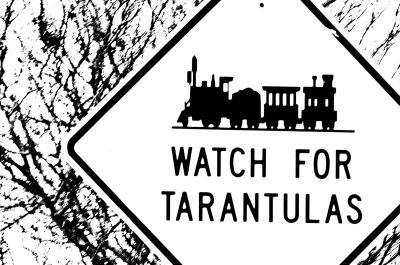 WATCH FOR TARANTULAS....HMMMM....OKAY!