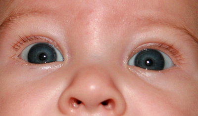BABY EYES AND A BABY NOSE FOR VIRGINIA AND JOE
