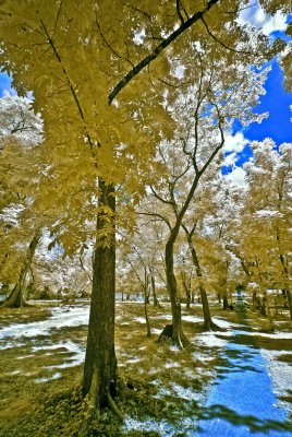 _DSC0030.jpg