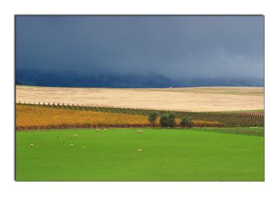 Autumn storm, Barossa Valley, SA.