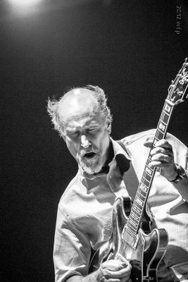 John Scofield (8).jpg