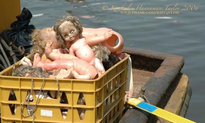 Moldy Barge Babies