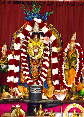 Maha Shivaratri Celebration at Silicon Valley Temple Milpitas CA