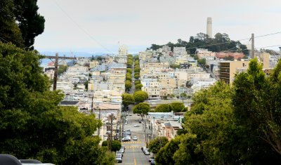 DSC_0672.jpg