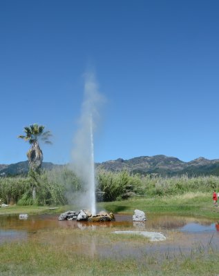 DSC_0720.jpg