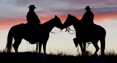 American Cowboys