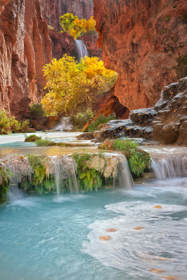 Havasupai201101.jpg