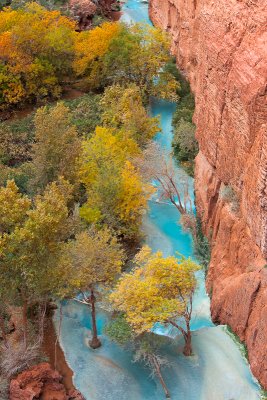 Havasupai201127.jpg