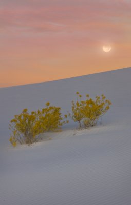 white-sands08-28-Edit.jpg