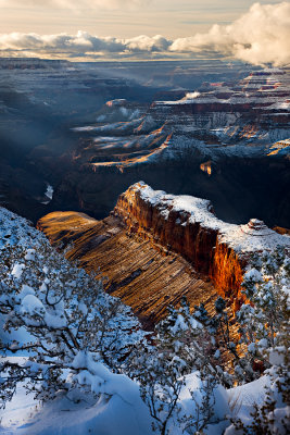 Grand Canyon NavajoPoint