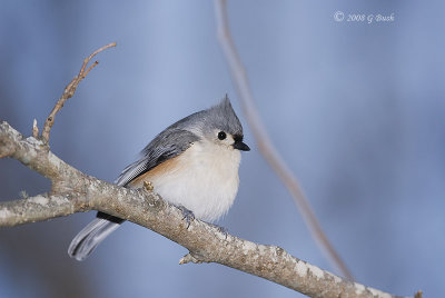 _DSC0131small.jpg