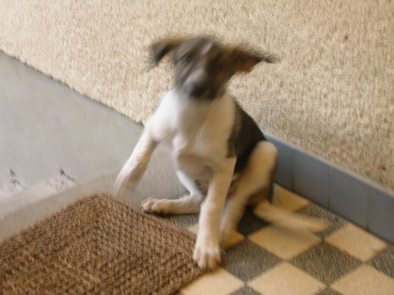 DSCN2853.JPG